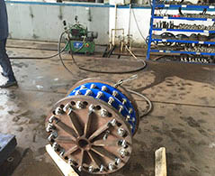 Inspección de mercancías